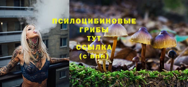 МДПВ Вязники