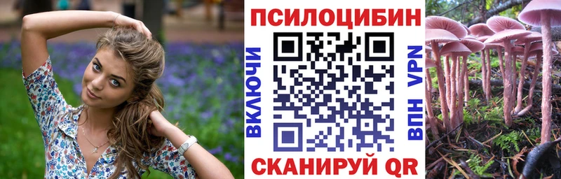 Псилоцибиновые грибы Magic Shrooms  KRAKEN зеркало  Невель  цены наркотик 